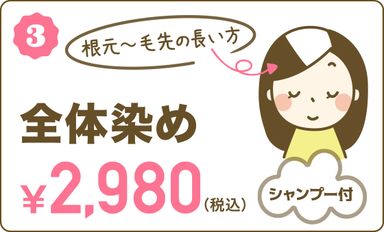 3.全体染め ￥2,980(税込) 根元〜毛先の長い方 シャンプー付